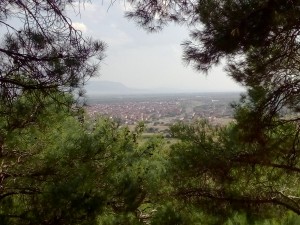 IMG_20150807_171501[1]